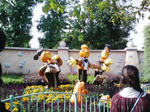 DVC00146.JPG
