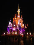 DVC00155.JPG