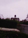 DVC00161.JPG