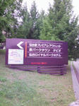 5540a656.JPG