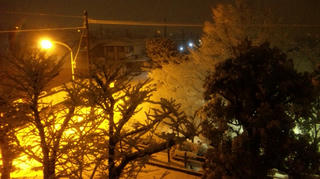 雪が降りました1