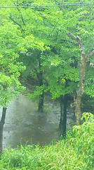 雨