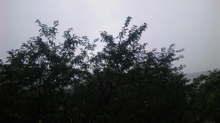 雨降り（オートモード）