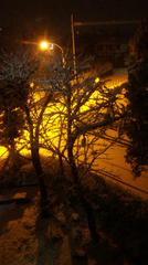 雪１