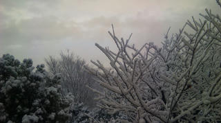雪２