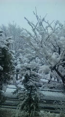 雪３