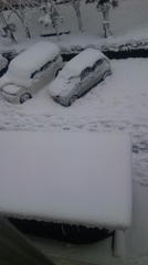 雪４
