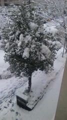 雪５