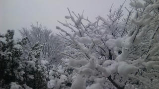 雪６