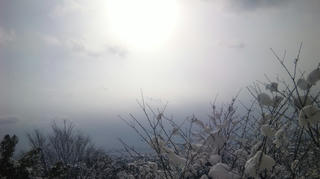 雪７
