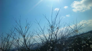 雪８