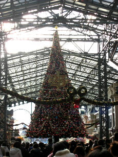 081207a.jpg