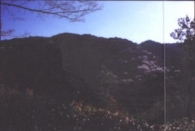 No.20.jpg