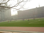 f028d62d.jpg