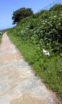 Image010.jpg