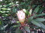 J0010012.jpg