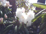 J0010013.jpg