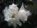 J0010014.jpg