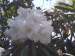 J0010015.jpg