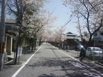 J0010054.jpg