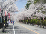 J0010044.jpg