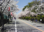 J0010045.jpg