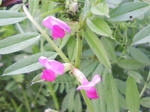 J0010023.jpg