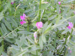 J0010024.jpg