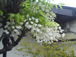 J0010001.jpg