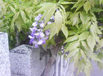 J0010003.jpg