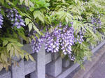 J0010004.jpg