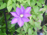 J0010010.jpg