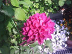 J0010027.jpg