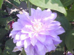 J0010028.jpg