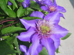 J0010029.jpg