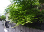 J0010002.jpg