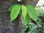 J0010048.jpg