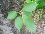 J0010049.jpg