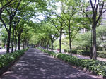J0010051.jpg