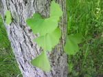 J0010055.jpg