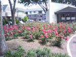 J0010080.jpg