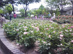J0010081.jpg
