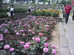 J0010085.jpg
