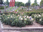 J0010098.jpg