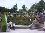 J0010103.jpg