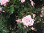 J0010105.jpg