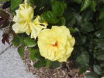 J0010107.jpg