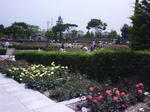 J0010109.jpg