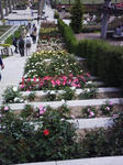 J0010110.jpg
