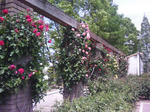 J0010120.jpg